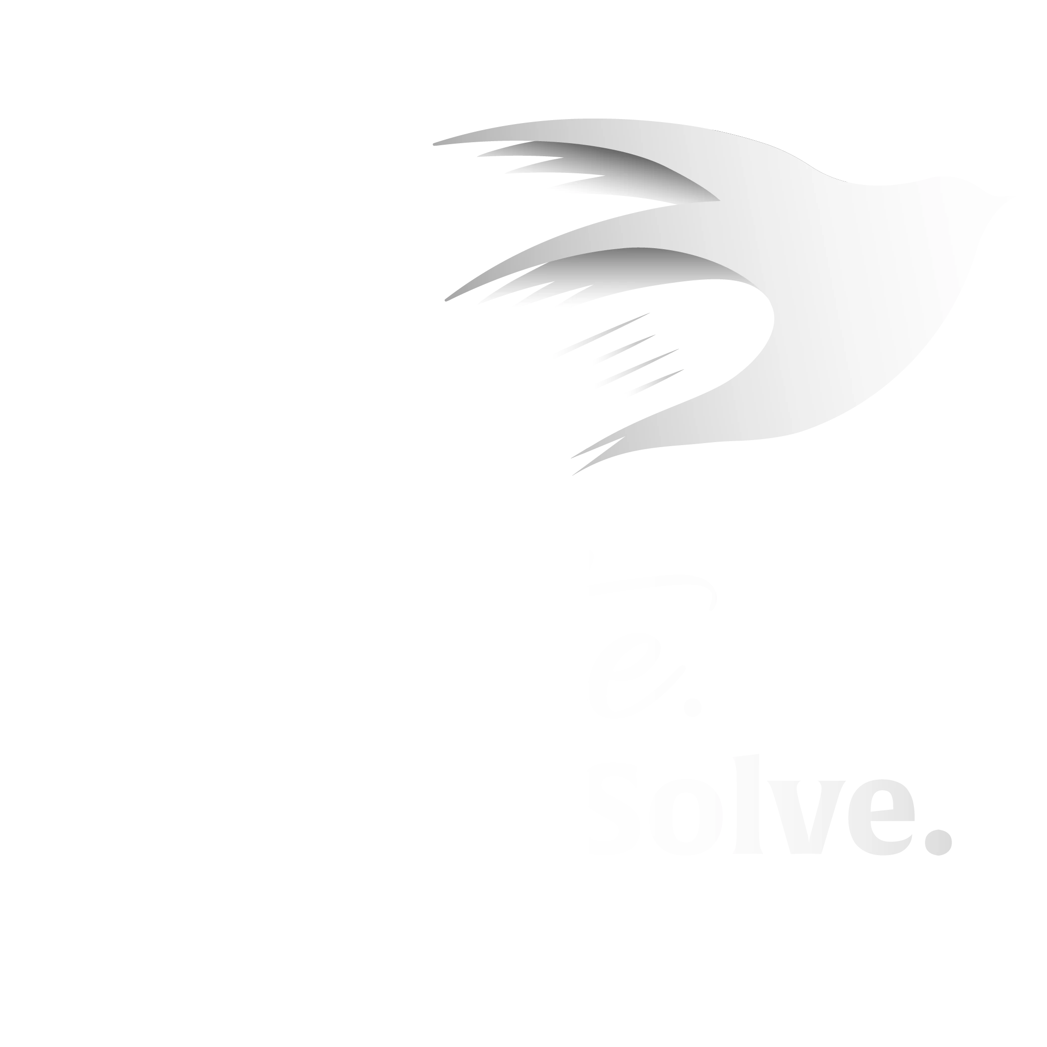 Think Create Solve