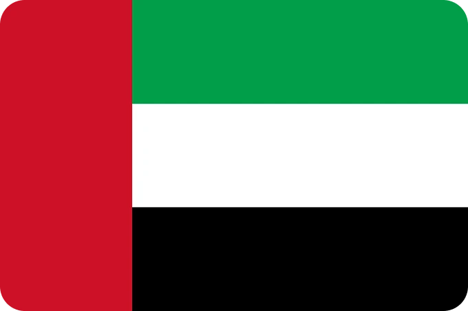 Dubai, UAE Flag